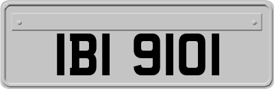 IBI9101