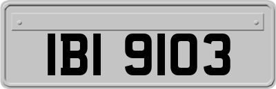 IBI9103