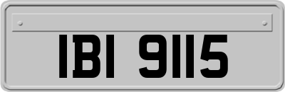 IBI9115