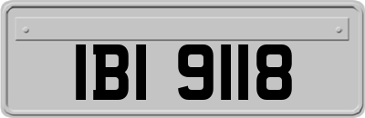 IBI9118