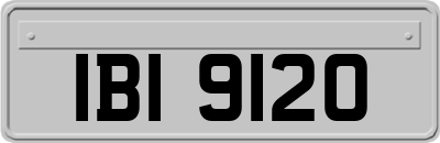 IBI9120