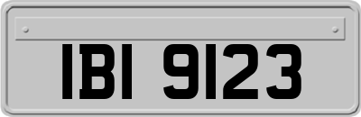 IBI9123