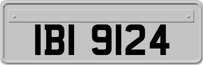 IBI9124