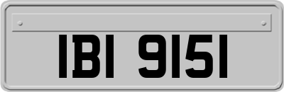 IBI9151