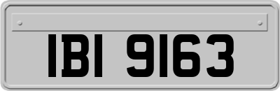 IBI9163