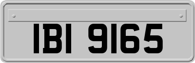 IBI9165