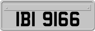 IBI9166