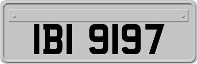 IBI9197