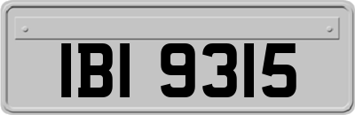 IBI9315