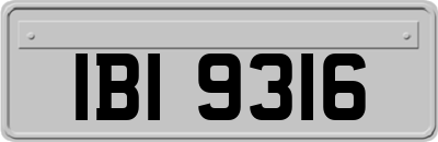 IBI9316