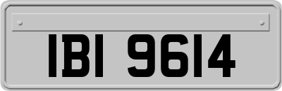 IBI9614