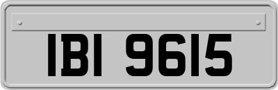 IBI9615