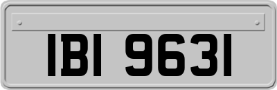 IBI9631