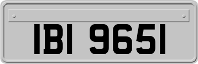 IBI9651