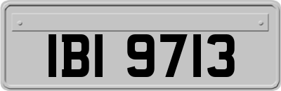 IBI9713