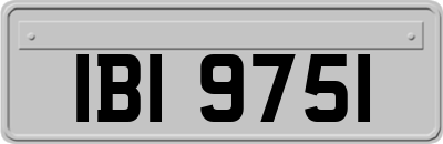 IBI9751