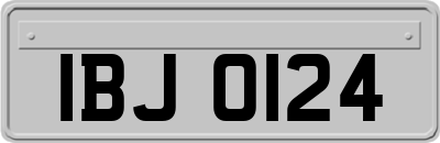 IBJ0124