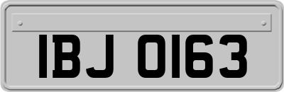 IBJ0163