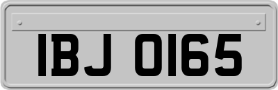 IBJ0165