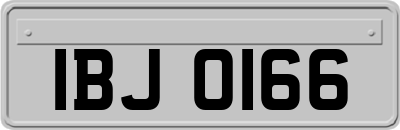 IBJ0166