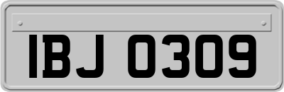 IBJ0309