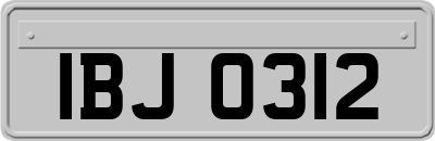 IBJ0312