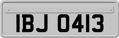 IBJ0413