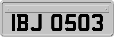 IBJ0503