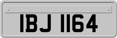 IBJ1164