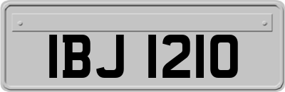 IBJ1210