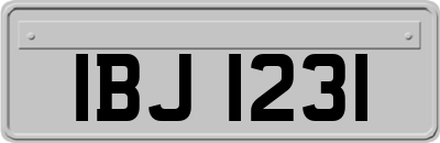 IBJ1231