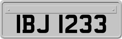 IBJ1233