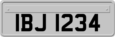 IBJ1234