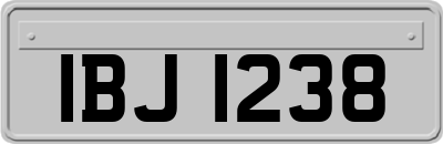 IBJ1238