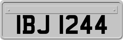 IBJ1244