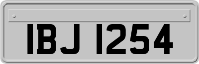 IBJ1254