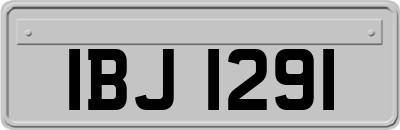 IBJ1291