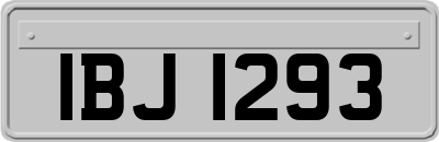 IBJ1293