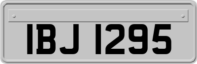 IBJ1295