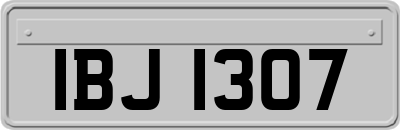 IBJ1307