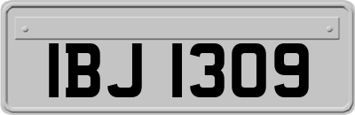 IBJ1309