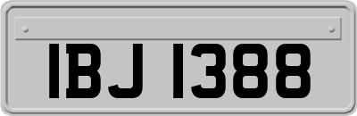 IBJ1388