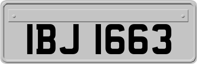 IBJ1663