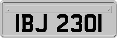 IBJ2301