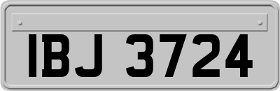 IBJ3724