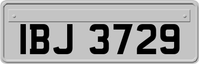 IBJ3729