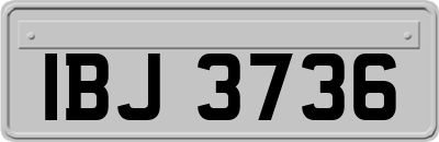 IBJ3736