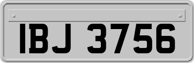 IBJ3756