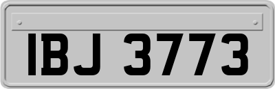 IBJ3773