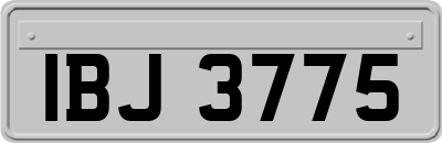 IBJ3775